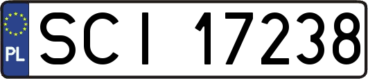 SCI17238