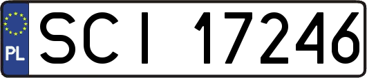 SCI17246