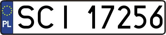 SCI17256