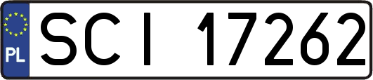 SCI17262