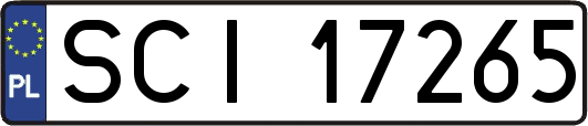 SCI17265