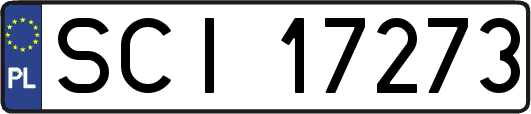 SCI17273
