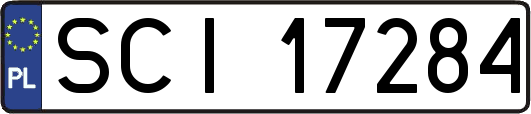 SCI17284