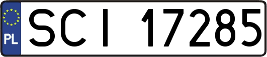 SCI17285