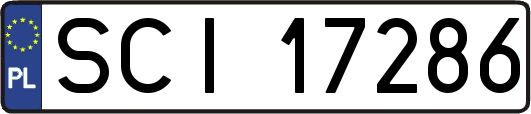 SCI17286