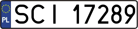 SCI17289