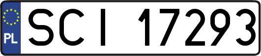 SCI17293