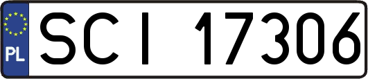 SCI17306