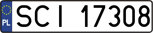 SCI17308