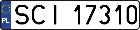 SCI17310