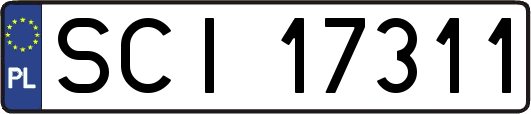 SCI17311