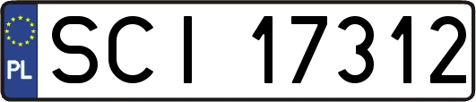 SCI17312