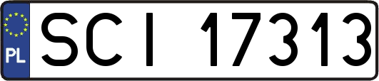 SCI17313
