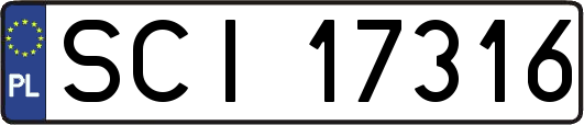 SCI17316