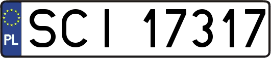 SCI17317