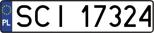 SCI17324