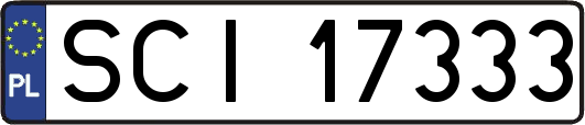 SCI17333