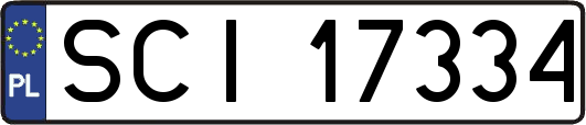 SCI17334