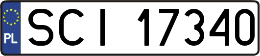 SCI17340