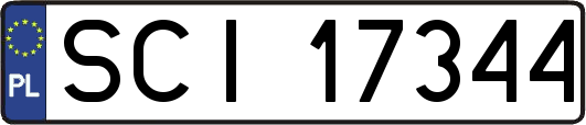 SCI17344