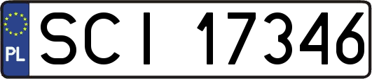 SCI17346