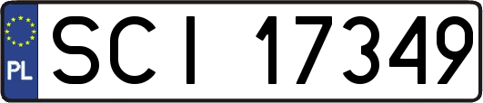 SCI17349