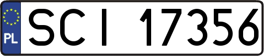SCI17356