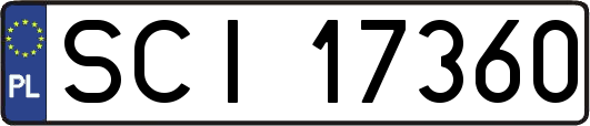 SCI17360