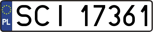 SCI17361