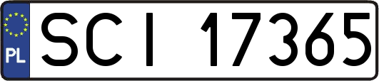 SCI17365