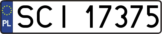 SCI17375