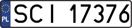 SCI17376