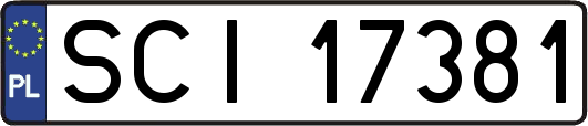 SCI17381