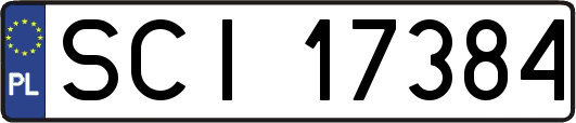 SCI17384