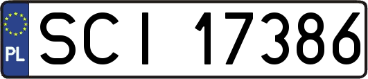 SCI17386