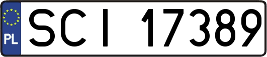 SCI17389