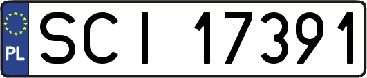 SCI17391