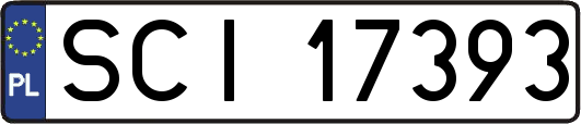 SCI17393