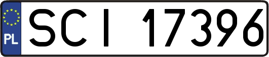 SCI17396