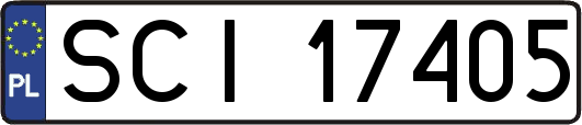 SCI17405