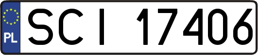 SCI17406