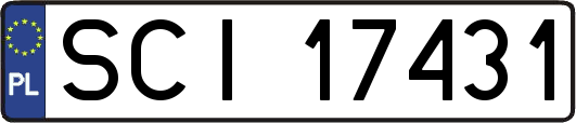 SCI17431