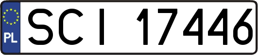 SCI17446
