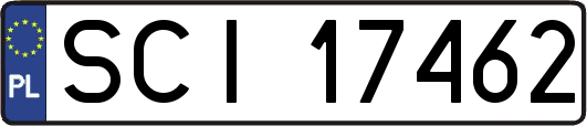 SCI17462