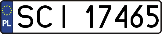 SCI17465