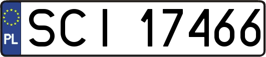 SCI17466