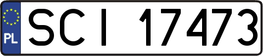 SCI17473