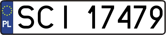 SCI17479