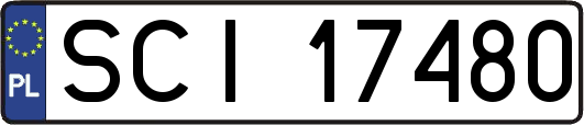 SCI17480