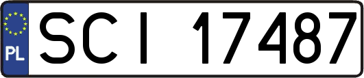SCI17487